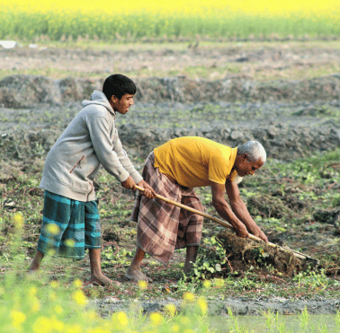 Agricultural Products